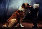Il bimbo e il cane