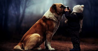 Il bimbo e il cane