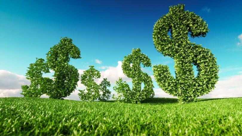 Verdoni soldi ambiente